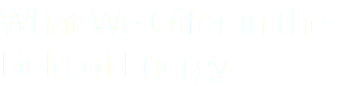 What We Offer in the Field of Energy