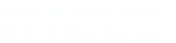 What We Offer in the Field of Wind Energy