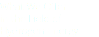 What We Offer in the Field of Hydrogen Energy