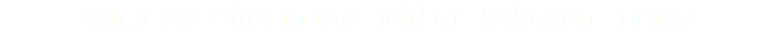 What We Offer in the Field of Hydrogen Energy